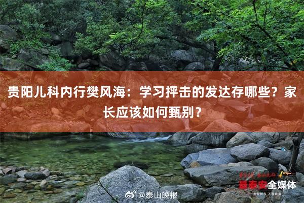 貴陽(yáng)兒科內(nèi)行樊風(fēng)海：學(xué)習(xí)抨擊的發(fā)達(dá)存哪些？家長(zhǎng)應(yīng)該如何甄別？